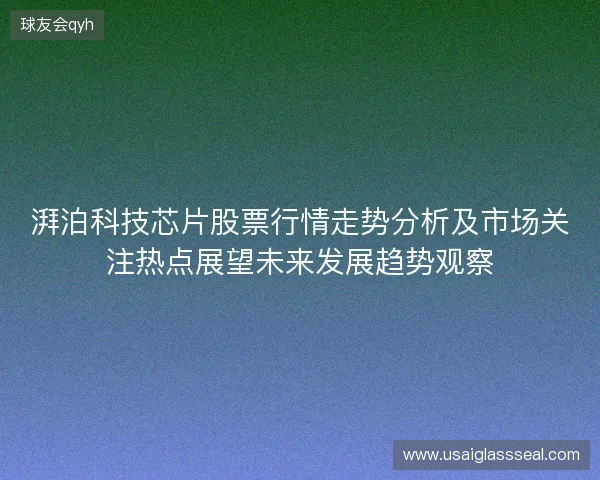 湃泊科技芯片股票行情走势分析及市场关注热点展望未来发展趋势观察 湃泊科技芯片股票行情走势分析及市场关注热点展望未来发展趋势观察